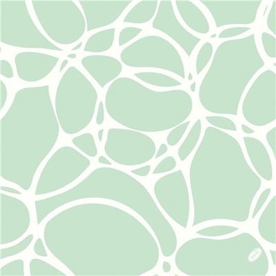 BioDunisoft Ubrousek Ocean Mint 100031857 40x40cm 60ks