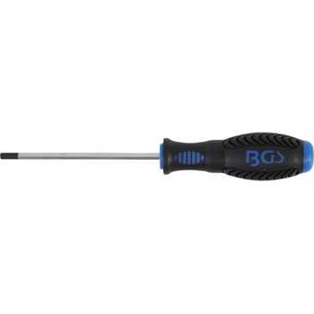 BGS technic Skrutkovač | vnútorný šesťhran 4 mm | Dĺžka čepele 100 mm (BGS 8629-5)