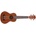 Prodipe Guitars BS1