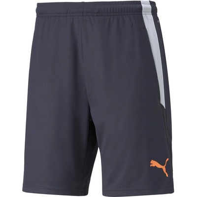 PUMA Teamliga training shorts 2 l