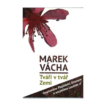Tváří v tvář Zemi. Inspirováno Plejádami, Orionem a encyklikou Laudato si´ - Marek Orko Vácha