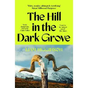 The Hill in the Dark Grove (ISBN: 9781035069446)