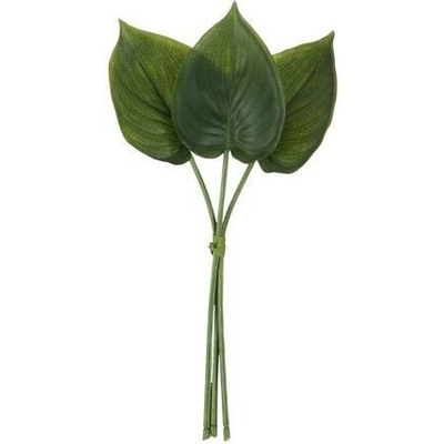 3 okrasné listy Philodendron - 30cm - J-Line by Jolipa