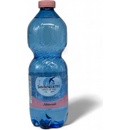 San Benedetto Minerální voda neperlivá 0,5 l