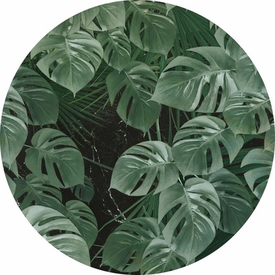 Komar Samolepicí vliesová fototapeta Dot Novel Monstera pr. 125 cm