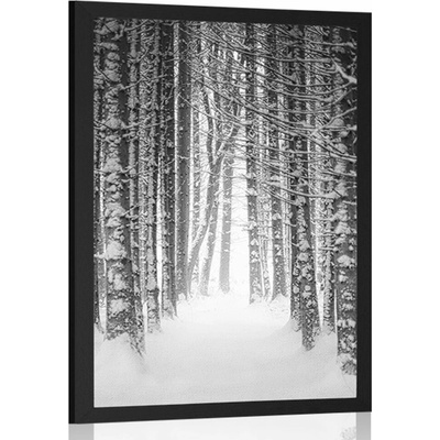 Plakát les zahalený sněhem v černobílém provedení - 40x60 no frame