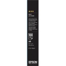 Epson C13S041061