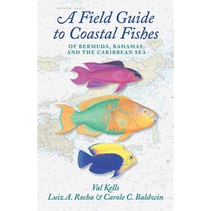 Field Guide to Coastal Fishes of Bermuda, Bahamas, and the Caribbean Sea (2022)
