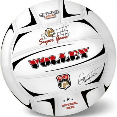 Míč volejbalový Champions 21 cm