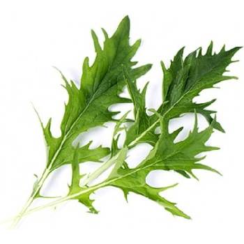 Veritable Вложка за семена Lingot листни зеленчуци зеле мизуна (lingot-kapusta-mizuna)