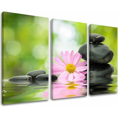 Obraz na stenu FENG SHUI - 90x60 cm