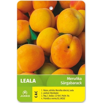 Meruňka Leala