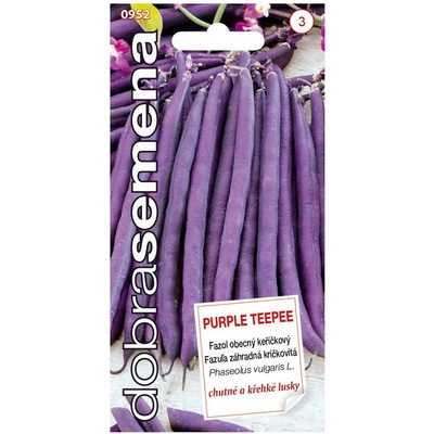 Dobrá semena Fazol keříčkový Purple Teepee 10 g