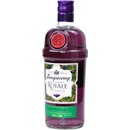 Tanqueray BlackCurrant Royale Gin 41,3% 0,7 l (holá láhev)