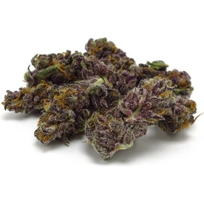 Growers Choice Blue Diesel AUTO semena neobsahují THC 5 ks