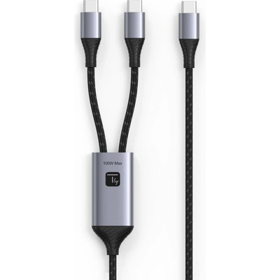 Techly ICOC MU2C-2C100W