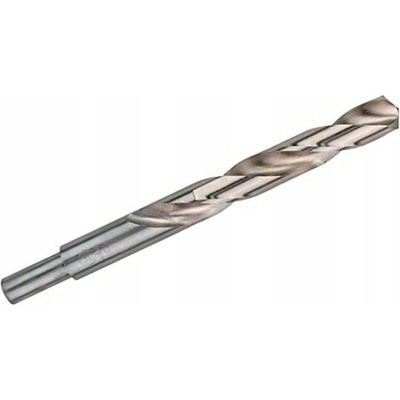 Bosch 2608585595