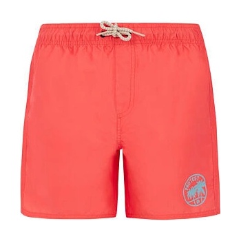 chlapecké plážové šortky Protest PRTYORK JR