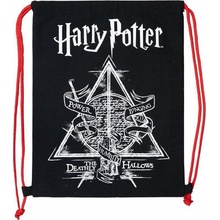 Stor Harry Potter 160148