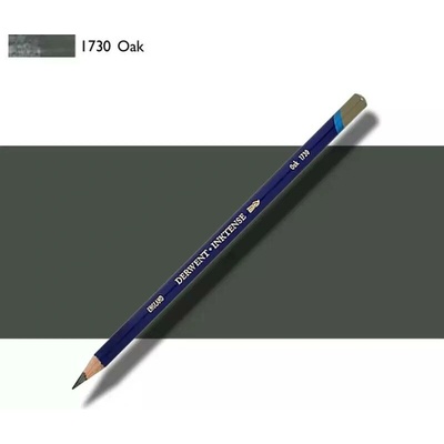 Derwent Inktense umělecké pastelky jednotlivé kusy oak 1730