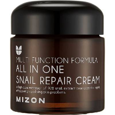 MIZON All In One Snail Repair Cream 75 ml