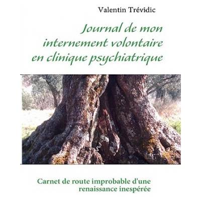 Journal de mon internement volontaire en clinique psychiatrique | Valentin Trévidic