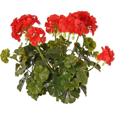 Geránium červená vonkajšia, 39cm