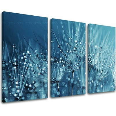 Obraz na stenu KVETY - 60x40