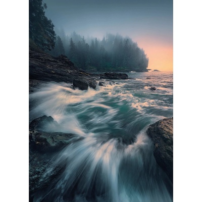 Komar Vliesová fototapeta Cry of the Sea 200 x 280 cm