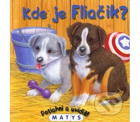 Kde je Fliačik?