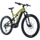 Leader Fox Argus 2 2024