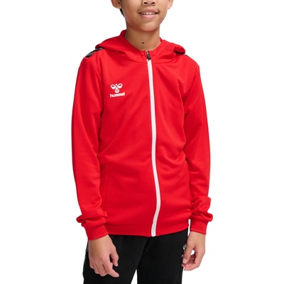 Hummel HML Authentic Pl Zip Hoodie Kids 219980-3062