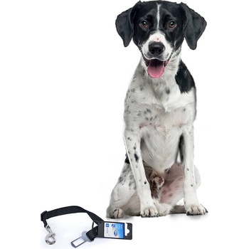 Duvo Plus Short Safety Lead - Предпазен повод /колан за кучета за автомобил 40-70см. /2см. черен