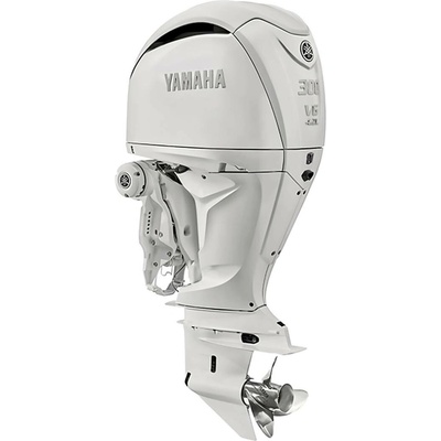 Yamaha F300NSB2