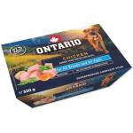 ONTARIO Купа Онтарио пилешко 320г (214-860965)
