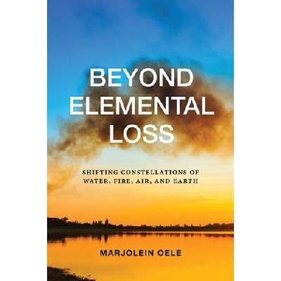 Beyond Elemental Loss