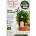 Oriana Calamondin