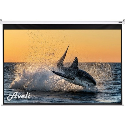 Aveli 175x109cm 16:10 81" XRT-00104