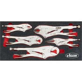 VIGOR V5004