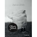 Zimná cesta