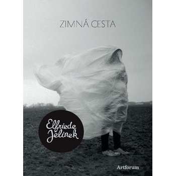 Zimná cesta