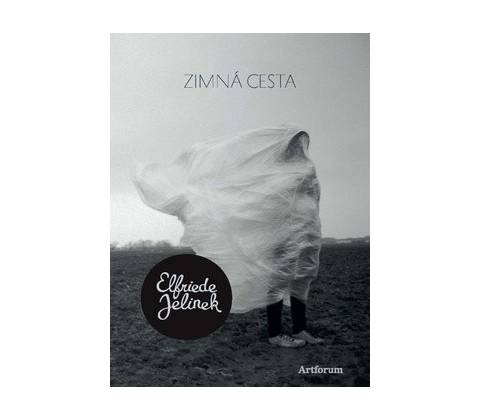 Zimná cesta
