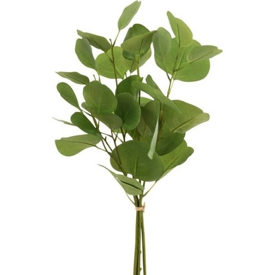 Zelený Eucalyptus - Zväzok umelej dekoratívne rastliny - 50 cm - J-Line by Jolipa