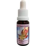 PHI Essences Премахва енергийните блокажи - Есенция Кестенови пъпки № 7, капки 15 ml (7 CLASSIC)