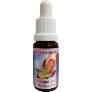 PHI Essences Премахва енергийните блокажи - Есенция Кестенови пъпки № 7, капки 15 ml (7 CLASSIC)