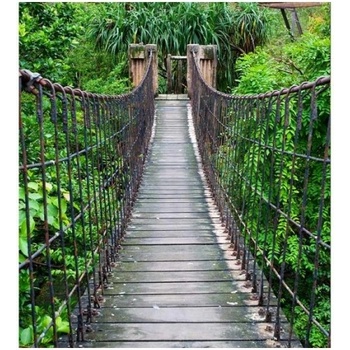 DIMEX ART s. r. o Флизелинов фототапет мост в гората 225 x 250 см