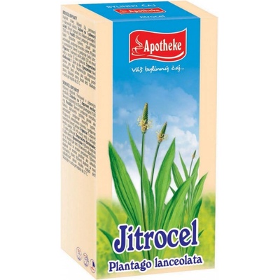 Apotheke čaj skorocel kopijovitý 20 x 1,5 g
