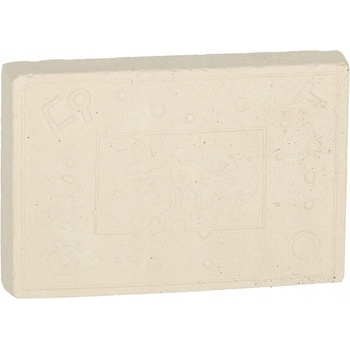 Vedecký vzdelávací súbor archeologických vykopávok hmyzu v jantári