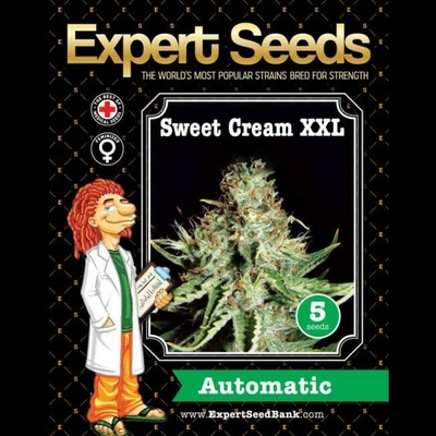 Expert Seeds Sweet Cream XXL Auto semienka neobsahujú THC 15 ks
