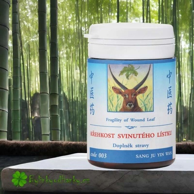 TCM Herbs Křehkost svinutého lístku 100 tablet